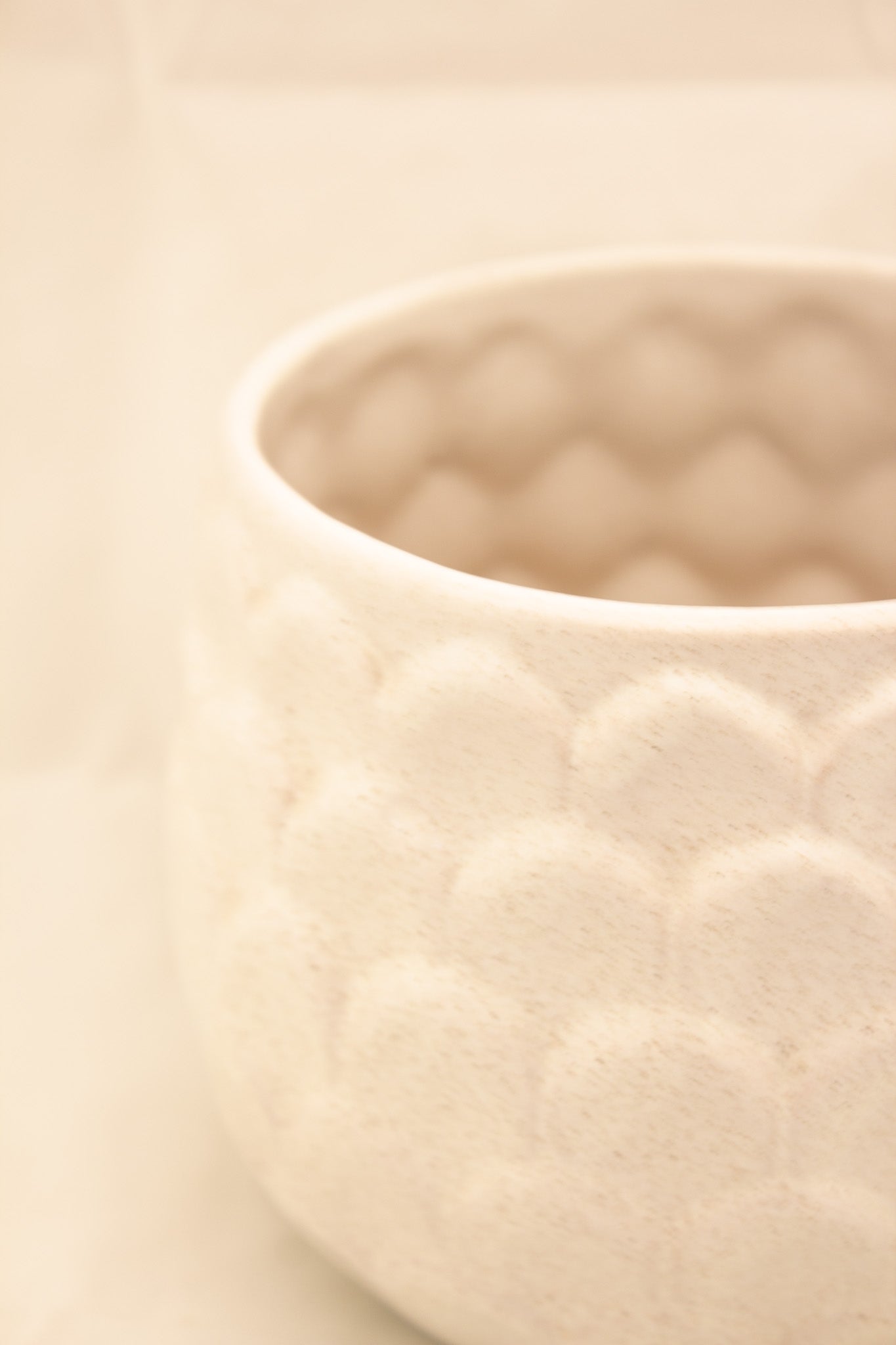 Pinecone White Bowl