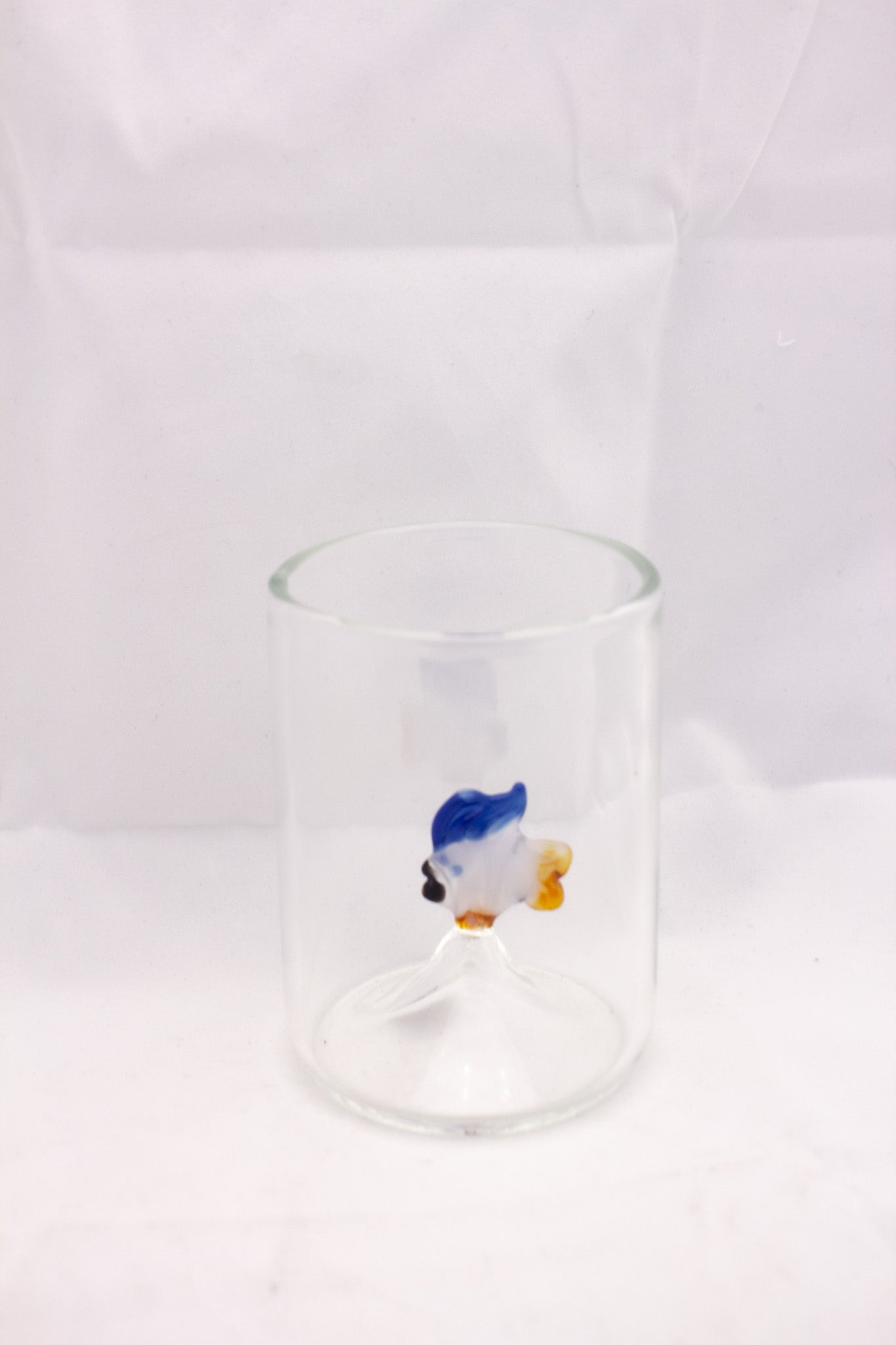 Fish Story Glass Cup