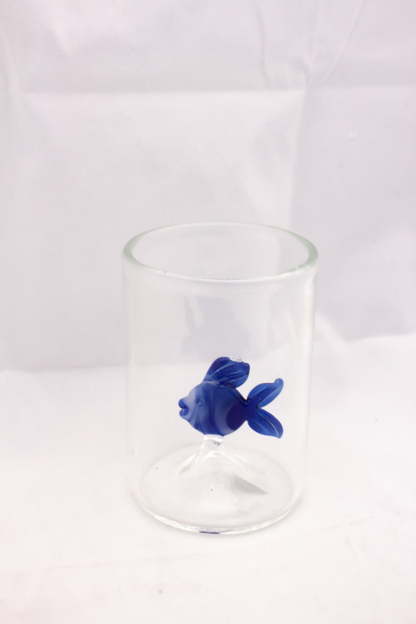 Fish Story Glass Cup