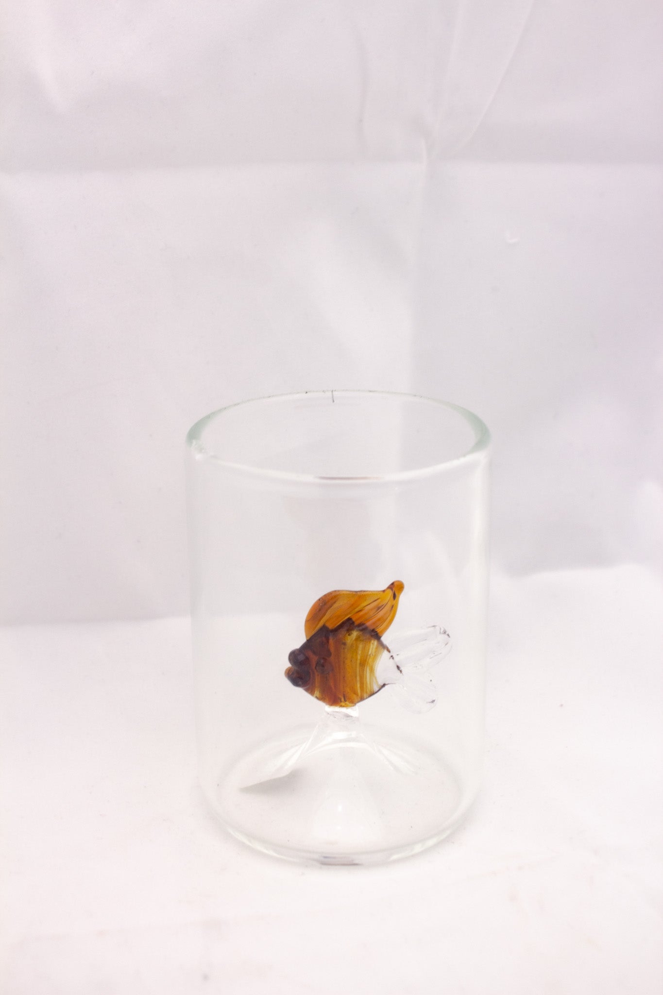 Fish Story Glass Cup