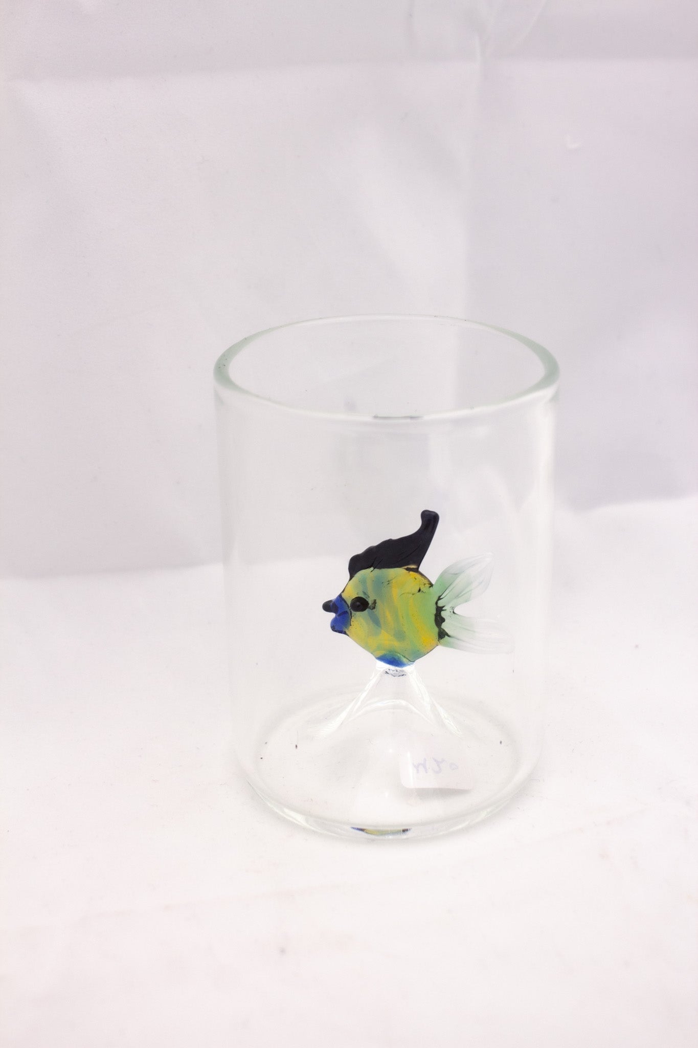 Fish Story Glass Cup