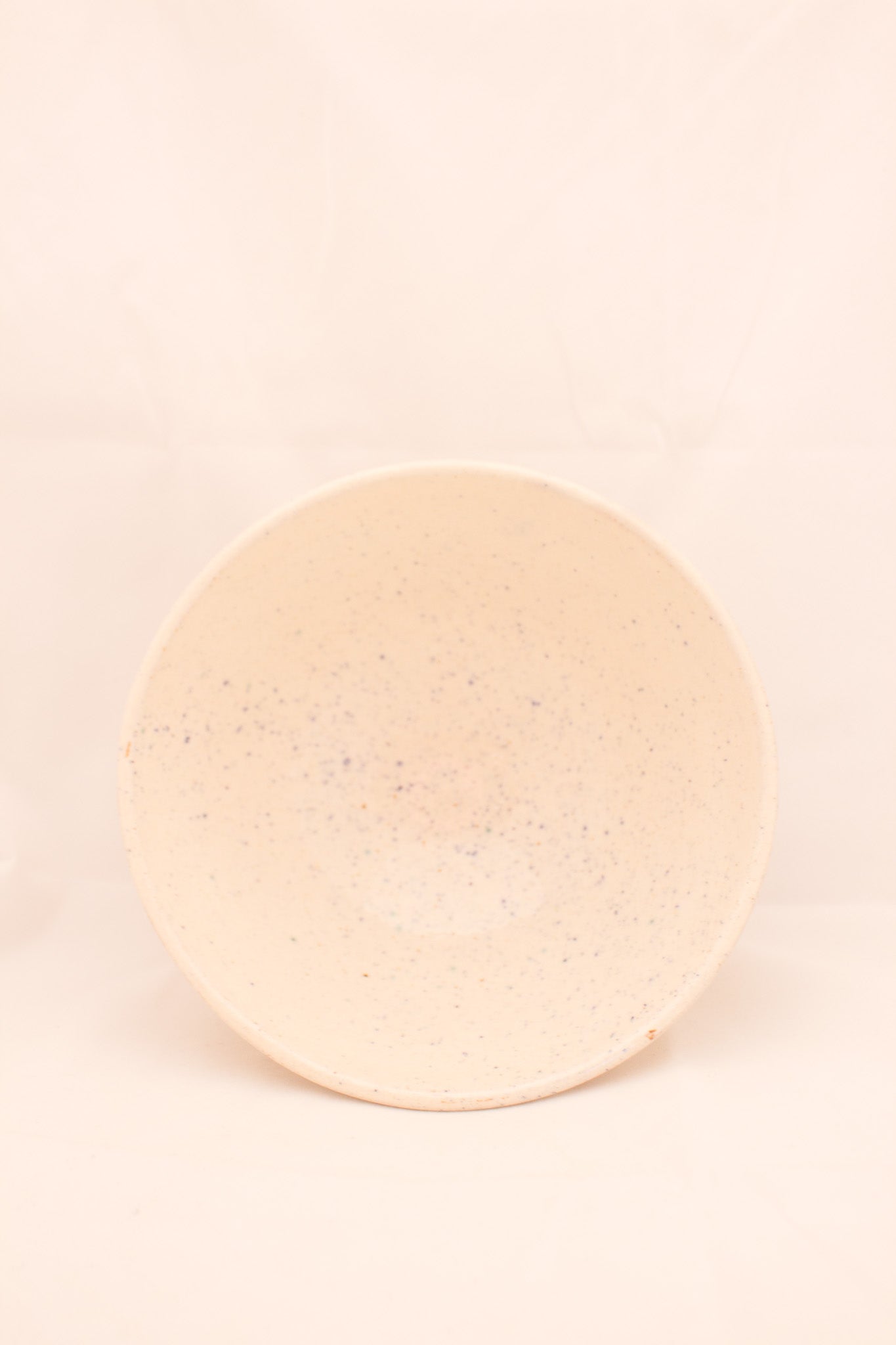 Blue-Beige Dotted Bowl